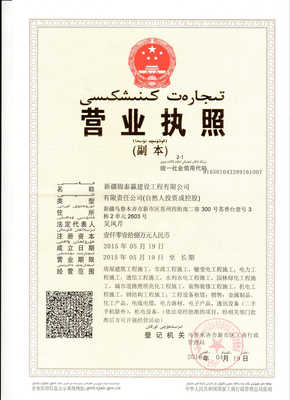 新疆锦泰赢建设工程有限公司 建设工程施工领域的专业实践与未来发展